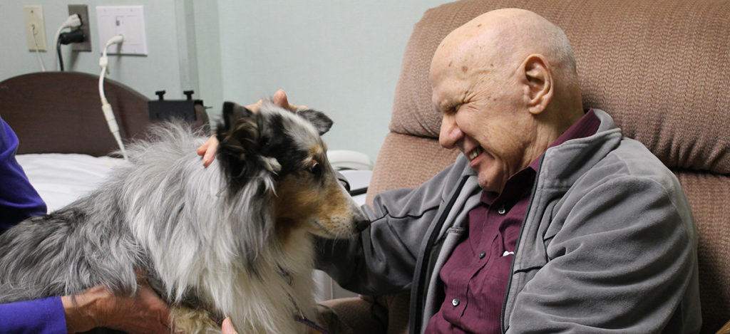 elderly man strokes held of sheltie during Paws for Health visit