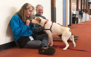 Nancy Boylan and Scott Johnson sit on the floor of the Track and Training Center giving treats to Chickie