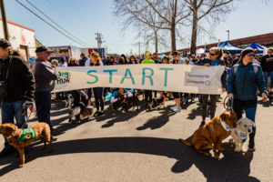 Start line of the 2019 Dog Jog