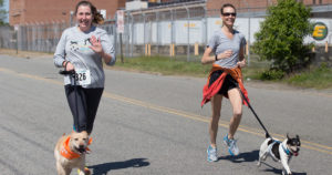 Two women running with leashed dogs