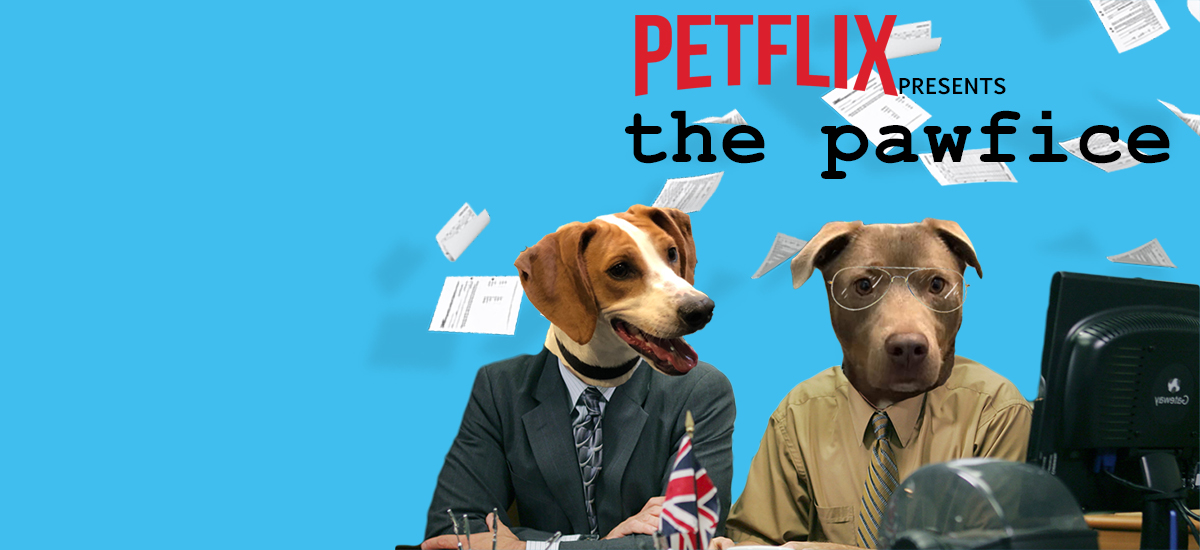 Elliot and Dave star in "the pawfice" streaming now on Petflix