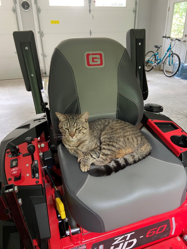 A riding lawnmower is parked inside a garage. It is red with a grey cushioned seat. In the seat, the cat Jackson is curled up with his striped tail wrapped around him.