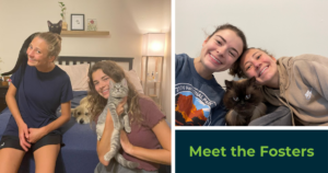 Pair of photos featuring two young women holding kittens they've fostered, in the lower right is the text "Meet the Fosters"