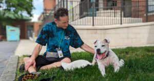 white dog sitting in the grass outside the Richmond SPCA with an animal care worker by her side