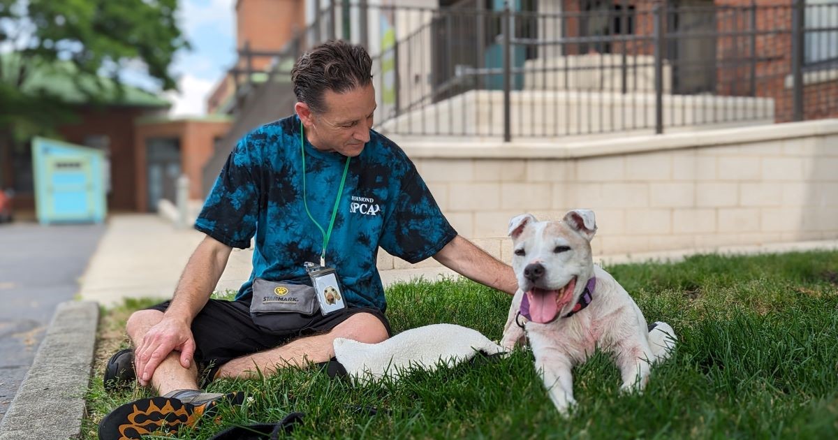 white dog sitting in the grass outside the Richmond SPCA with an animal care worker by her side