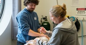 two people performing veterinary work on a dog