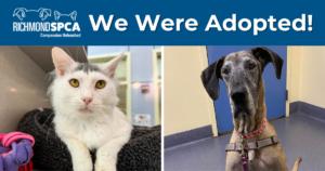 We Were Adopted 9.9 - 9.15