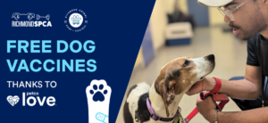 Free dog vaccines thanks to Petco Love - banner image