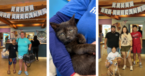 Pets adopted during Clear The Shelters